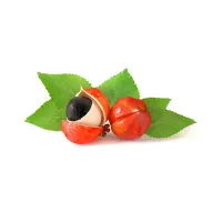 Guarana