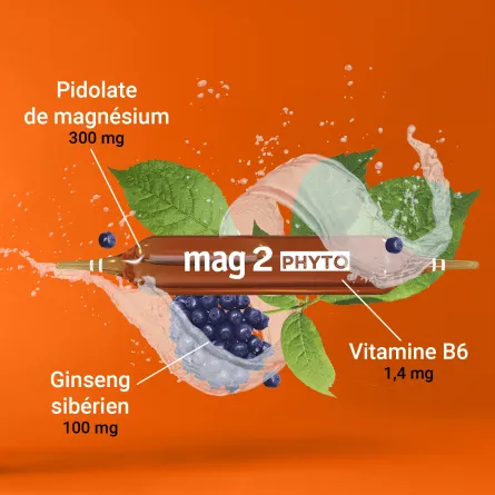 Mag2 Phyto Energie