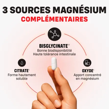 Mag 2 Expert