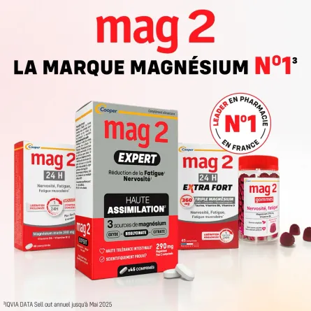 Mag 2 Expert