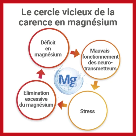 Mag2 24H