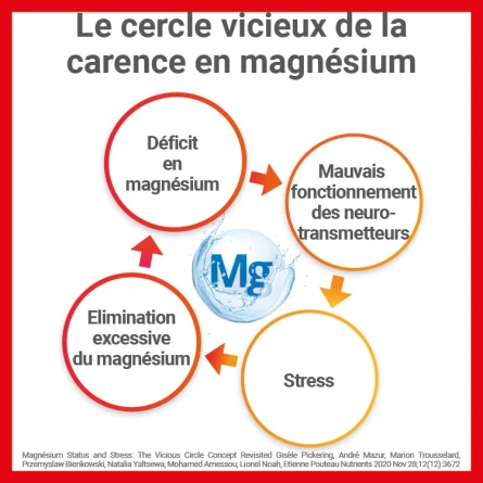 Mag2 Gommes Pêche