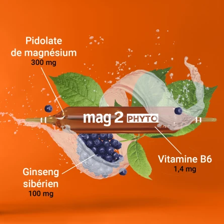 Mag2 Phyto Energie
