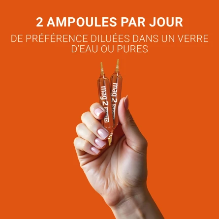 Mag2 Phyto Energie