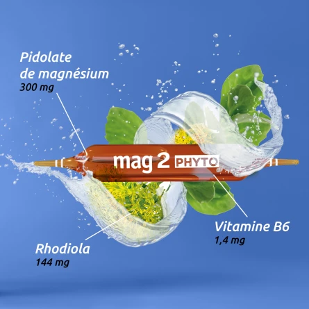 Mag2 Phyto Relax