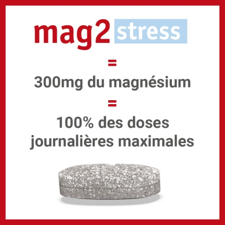 Mag2 Stress